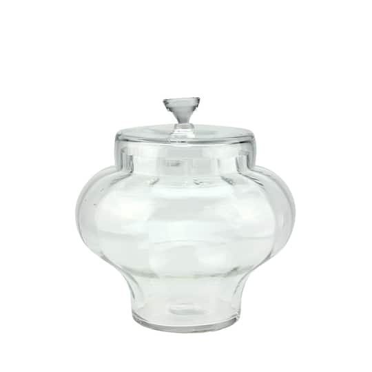 11" Transparent Segmented Glass Container with Lid